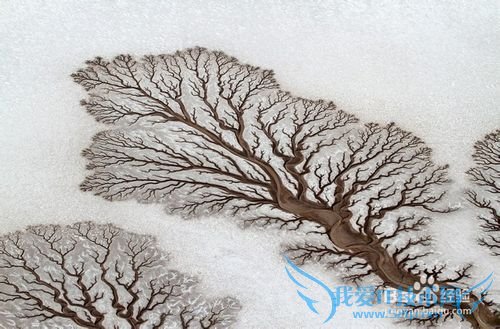 怎样翻译英语长难句?