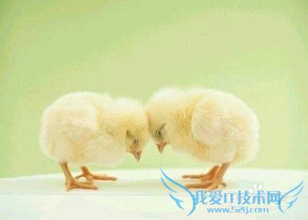 怎样翻译英语长难句?