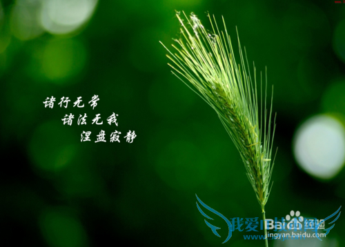 英语四级听力考试小结: