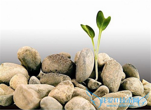 如何学好英语(方法技巧篇)