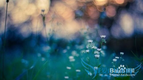 快速学习英语的方法