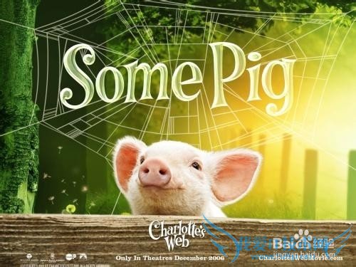 怎么让中学生爱上英语