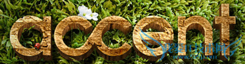 如何提高英语口语能力