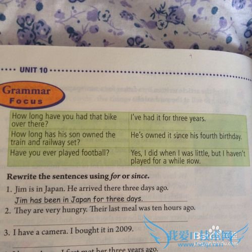 人教版八年级英语下册语法知识