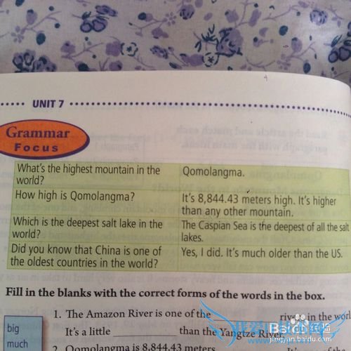 人教版八年级英语下册语法知识