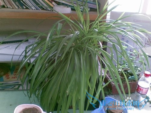 英语背单词的方法