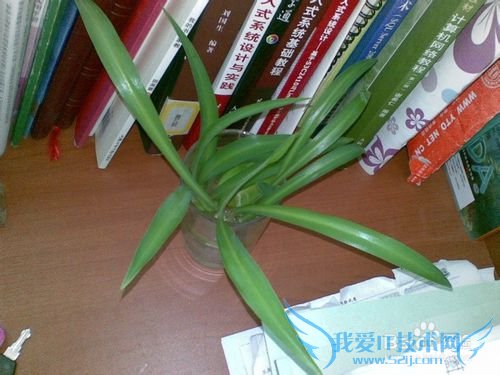 英语背单词的方法