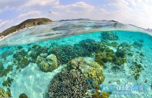 学英语有什么用?