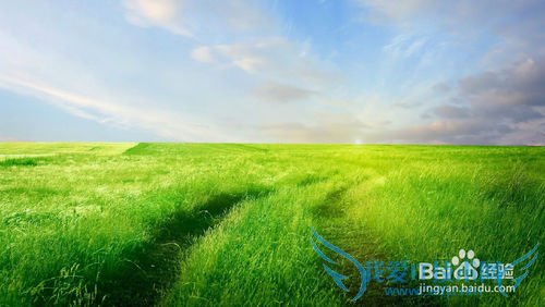 如何快速记忆英语单词?