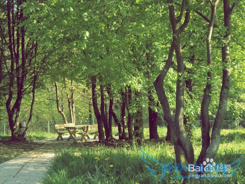 如何快速记忆英语单词?