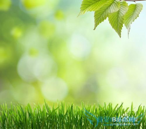 如何快速记忆英语单词?