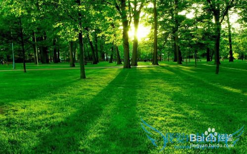 如何快速记忆英语单词?