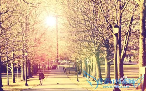 好的英语学习网站推荐