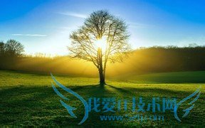 背英语单词最有用的方法