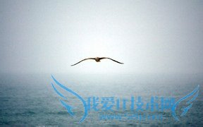 背英语单词最有用的方法