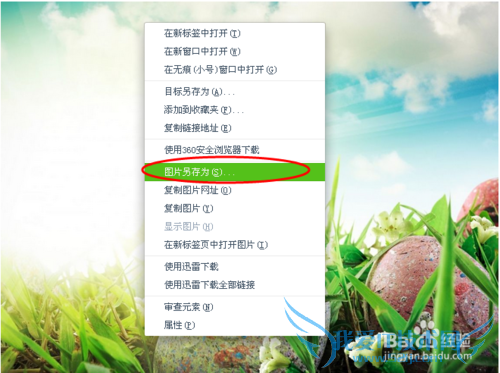 如何将网页图片设置成桌面背景