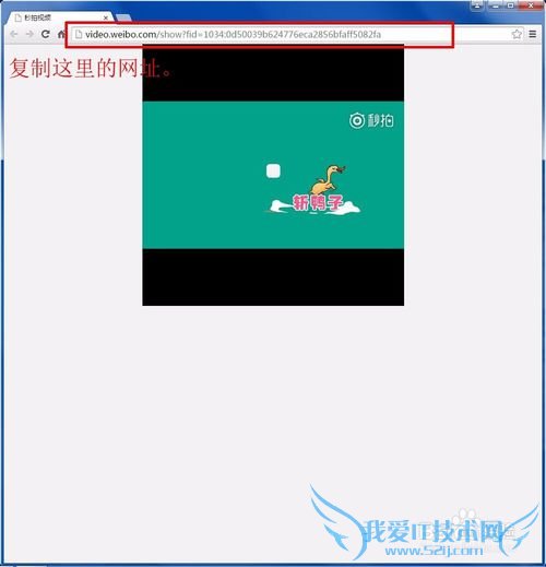 如何使用硕鼠下载各种各样的网页视频