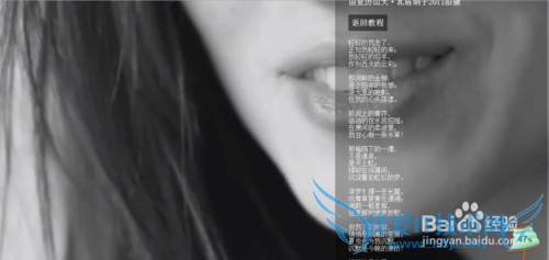 如何用视频做网页的背景