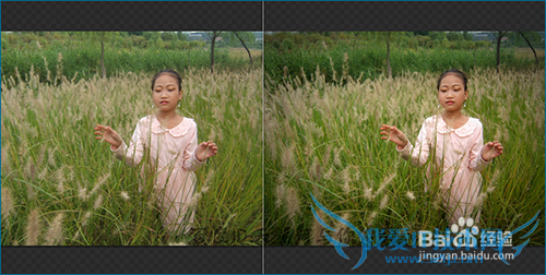 360相册网页版怎么进行相片调整?