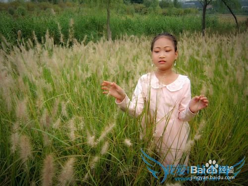 360相册网页版怎么进行相片调整?