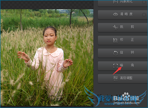 360相册网页版怎么进行相片调整?