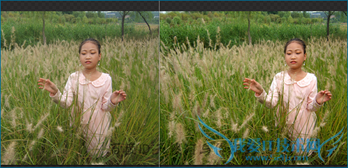 360相册网页版怎么进行相片调整?