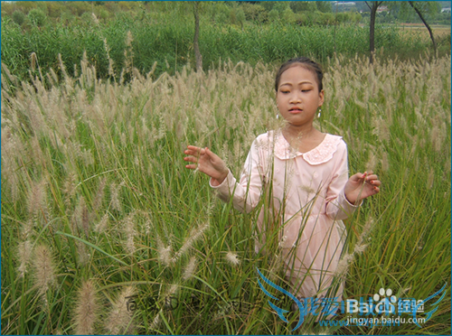 360相册网页版怎么进行相片调整?