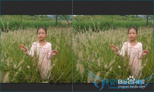 360相册网页版怎么进行相片调整?