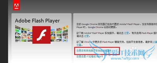 linux下网页里的视频不能播放怎么办?