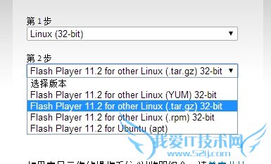 linux下网页里的视频不能播放怎么办?