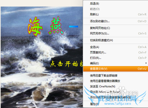 怎样下载网页上的swf文件