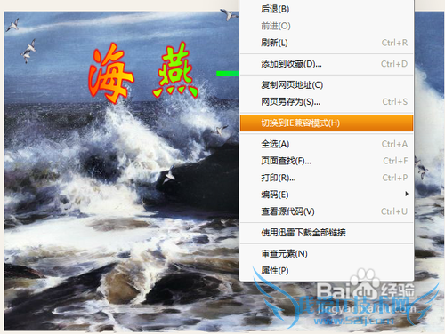 怎样下载网页上的swf文件