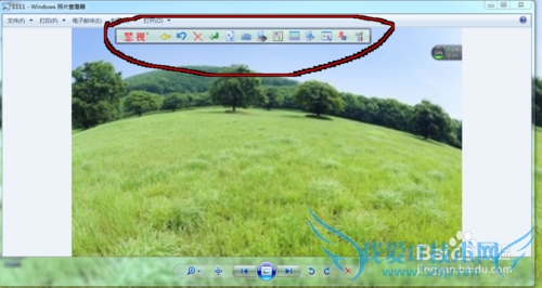 将图片或网页上的文字转换成文本