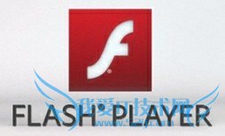 网页视频无法播放怎么办