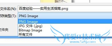 怎么将网页保存为图片或者pdf形式