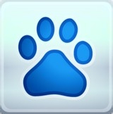 制作网页可选用的图片类型有哪些?常见图片类型