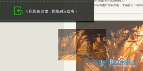 网页上的图片不能下载怎么办