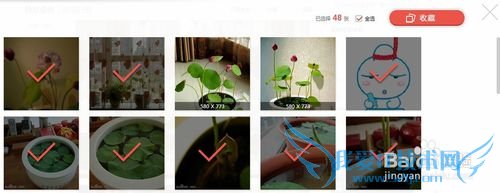 ÈçºÎ¿ìËÙ±£´æÍøÒ³ÉÏϲ»¶µÄͼƬ