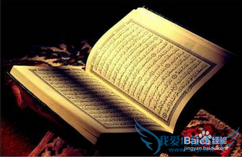 网页制作的软件有哪些