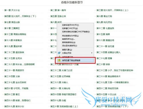 网页版小说巧转TXT电子书