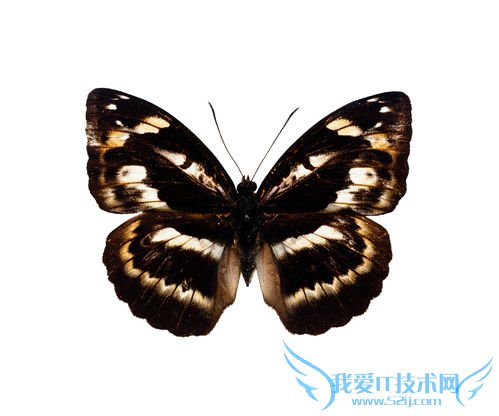 网站制作之网页技巧