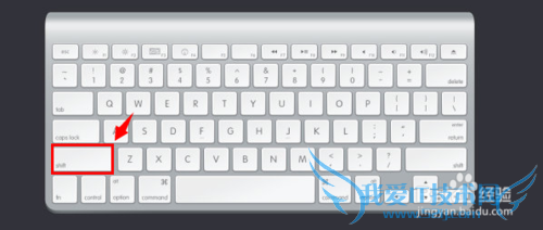 如何快速选定区域复制网页中的内容