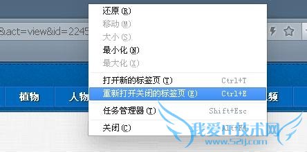 怎么恢复关闭的网页