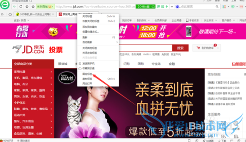 如何把需要的网页设定为固定标签?