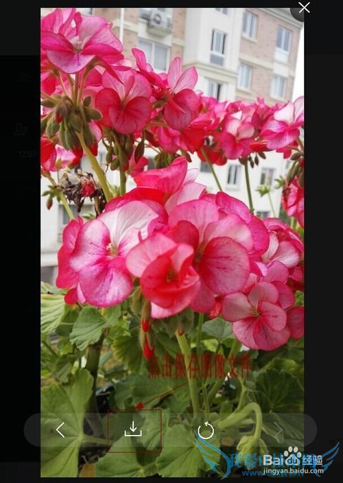 如何利用微信网页版在手机和电脑上互传文件