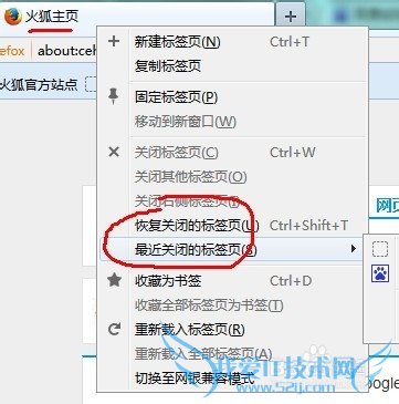 浏览器如何恢复关闭的网页