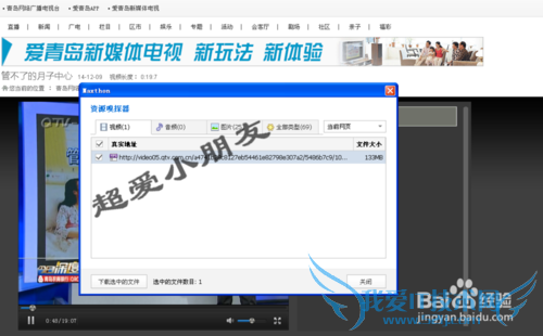 网页上的视频怎么下载 保存网页节目视频的方法