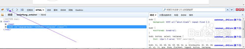 ʹfirebug߲鿴ҳش