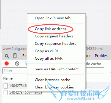 下载网页播放的音乐