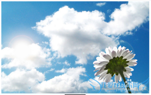 制作网页时能选用图片类型有哪些